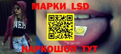 крисы Камышлов
