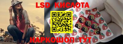 крисы Камышлов