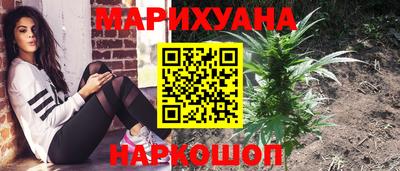 крисы Камышлов