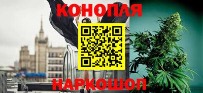 крисы Камышлов