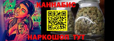 крисы Камышлов