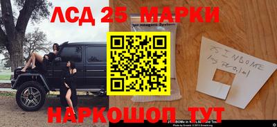 крисы Камышлов