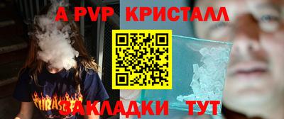 крисы Камышлов