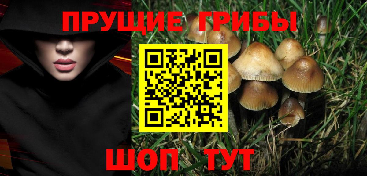 Псилоцибиновые грибы ЛСД  где купить наркоту  Ливны  Вход с VPN 